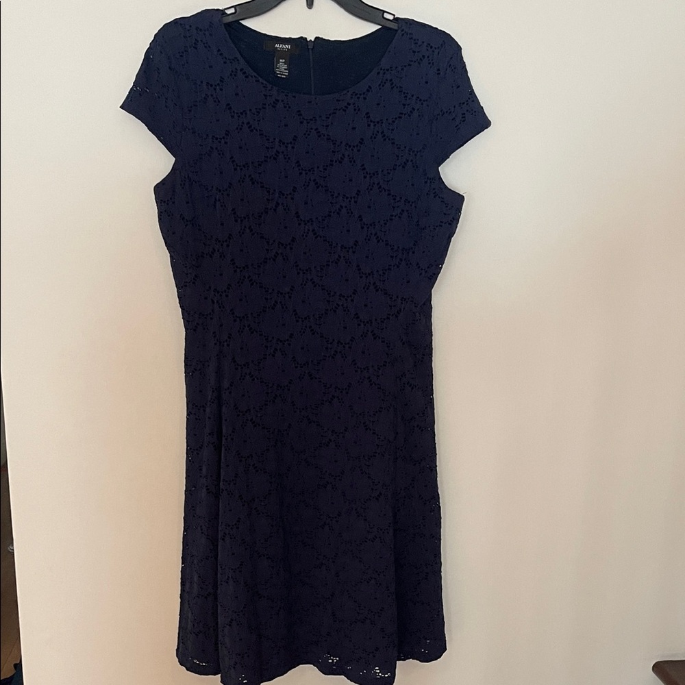 Ann Taylor Navy Lace Mini Dress